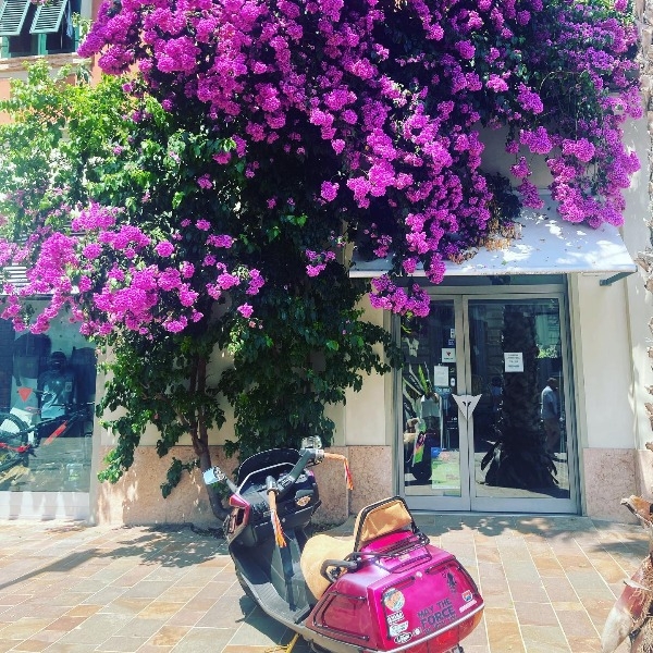 Mybike image
